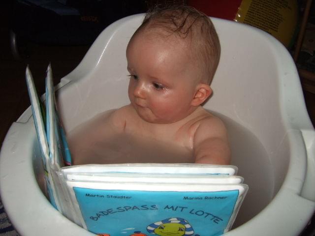 Bild
