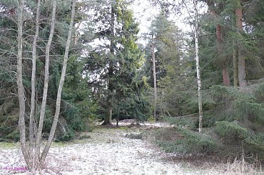 Puszcza Piska #PuszczaPiska #Karwik #BagnaSnopkowskie #Remes #Mazury #Pisz