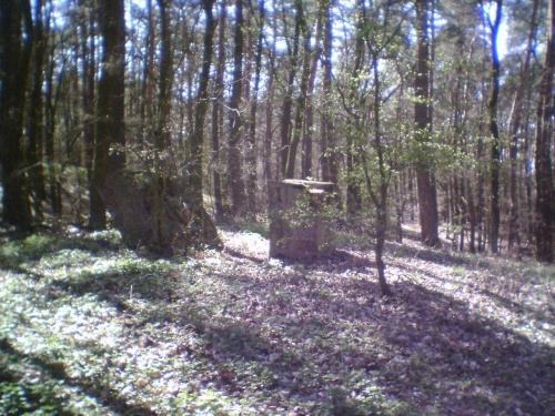 Pałac w Lubostroniu