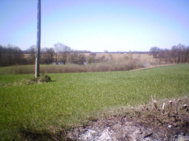 Pałac w Lubostroniu