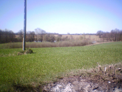 Pałac w Lubostroniu