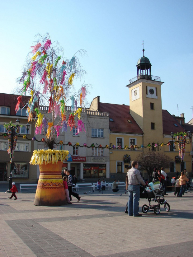 Rybnik, Wiosna