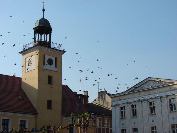 Rybnik, Wiosna