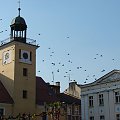 Rybnik, Wiosna