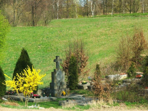 Kolonia Zbędowice - cmentarz pomordowanych mieszkańców #Zbędowice #cmentarz #groby