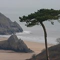 Three Cliffs Bay