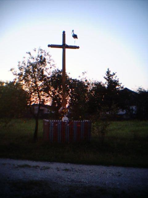 bocian na krzyżu