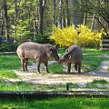 Kraków i Zoo