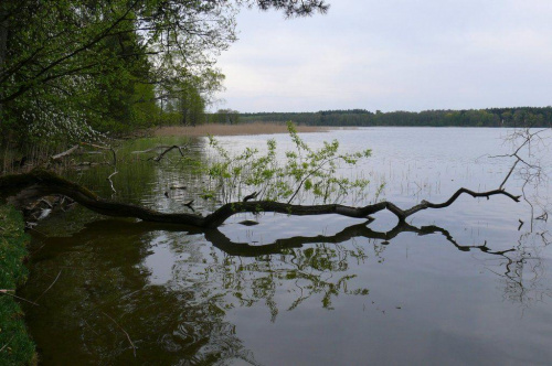 #Breyt #Mazury #Rower #RucianeNida