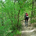Kraków na rowerze - Ojców-Dolinki-Balice