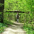 Kraków na rowerze - Ojców-Dolinki-Balice