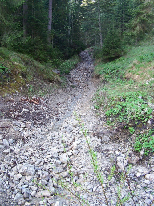 Tatry Zachodnie maj 2007