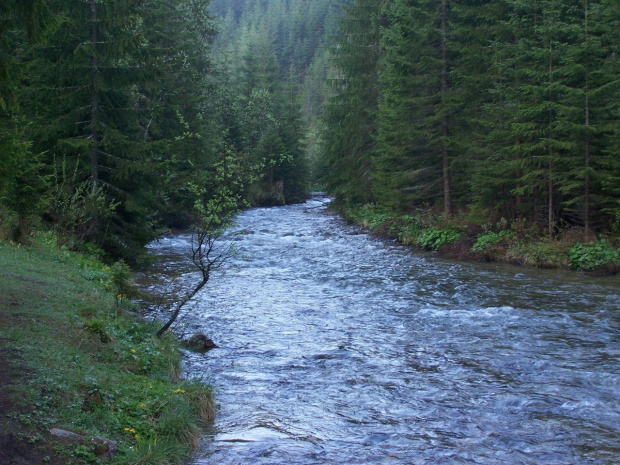 Tatry Zachodnie maj 2007