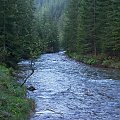 Tatry Zachodnie maj 2007