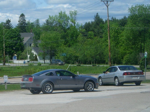 Mustang Cobra