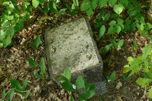 Cmentarz w Trzonkach #Trzonki #CmentarzWTrzonkach