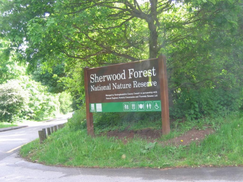 Sherwood Forest