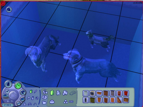 Duchy: Bąbel, Kora i Kalarepka. :D #Sims2 #Zwierzaki