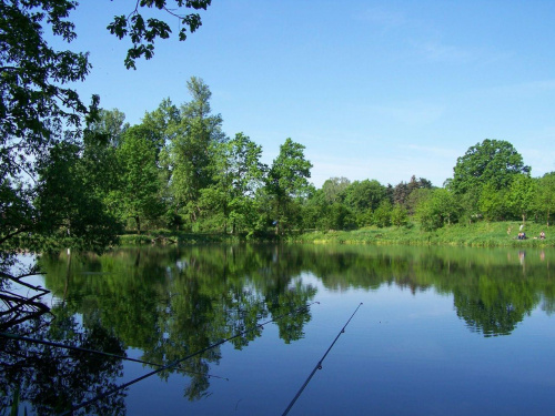 widok na "mostek"