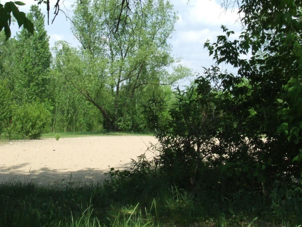 Plaża teraz świeci pustkami ale w sezonie nie można tu palca wcisnąć :) #NadPilicą #TomaszówMaz