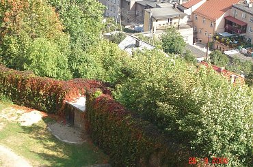 Bolkow. Ruiny zamku. #Bolkow #Bolkenhain #Slask #DolnySlask #Silesia