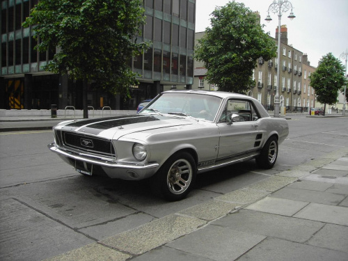 Mustang