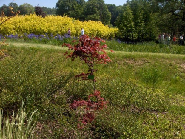 2. park w Wojsławicach - maj 2007