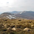 Połonina Bukowska z Pikuja #bieszczady #ukraina #góry