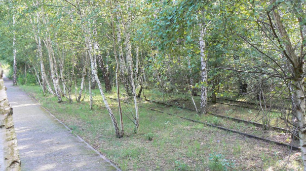 Natur-Park Schöneberger Südgelände w Berlinie #Berlin