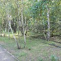 Natur-Park Schöneberger Südgelände w Berlinie #Berlin