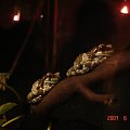 WYCIECZKA DO ZOO Z HANIĄ PRZEMKIEM SZYMKIEM I LIVIĄ