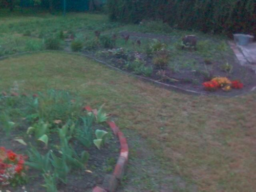 widok na ogród ---cześć klomba i rabatka w dali