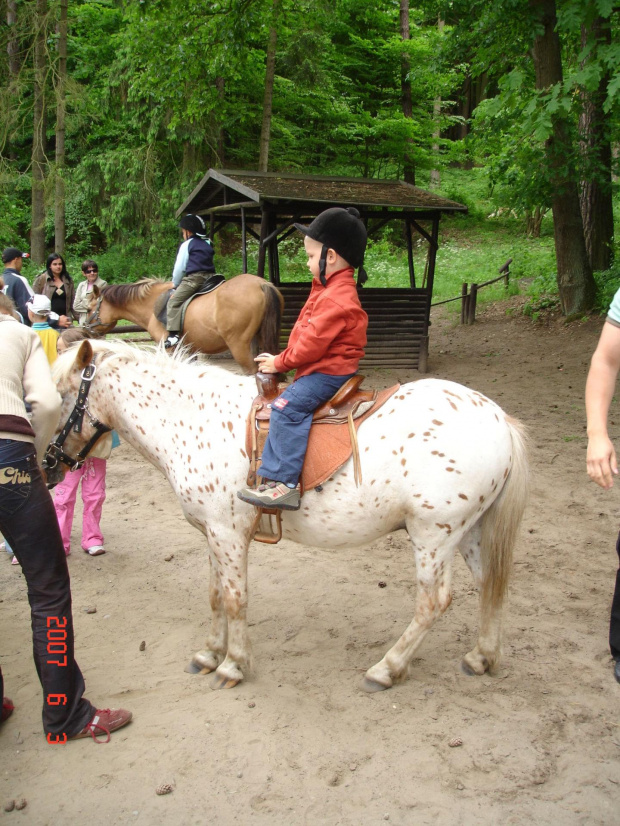 WYCIECZKA DO ZOO Z HANIĄ PRZEMKIEM SZYMKIEM I LIVIĄ