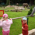 WYCIECZKA DO ZOO Z HANIĄ PRZEMKIEM SZYMKIEM I LIVIĄ