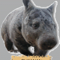 WOMBAT