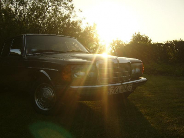 Mercedes W123 2.4d