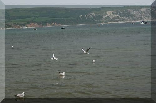 Swanage