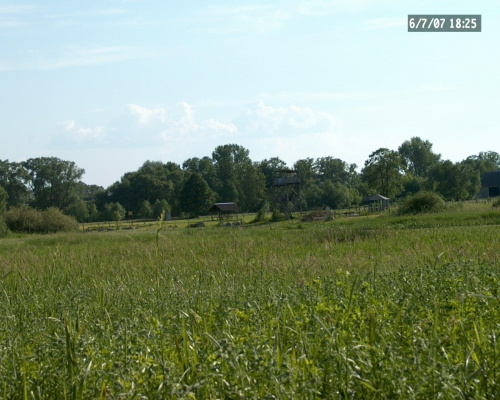 łąki nad Biebrzą