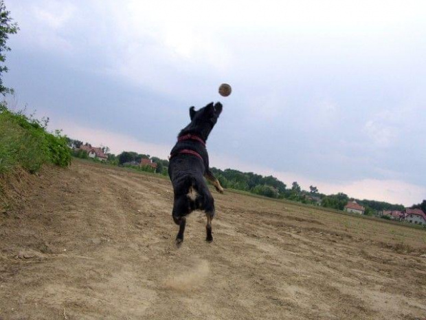 Bajutek
