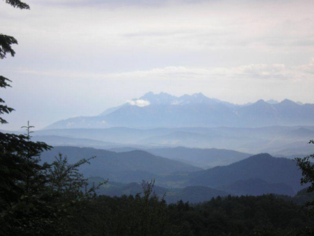 Widok na Tatry spod Czeremchy #szczawnica #przehyba