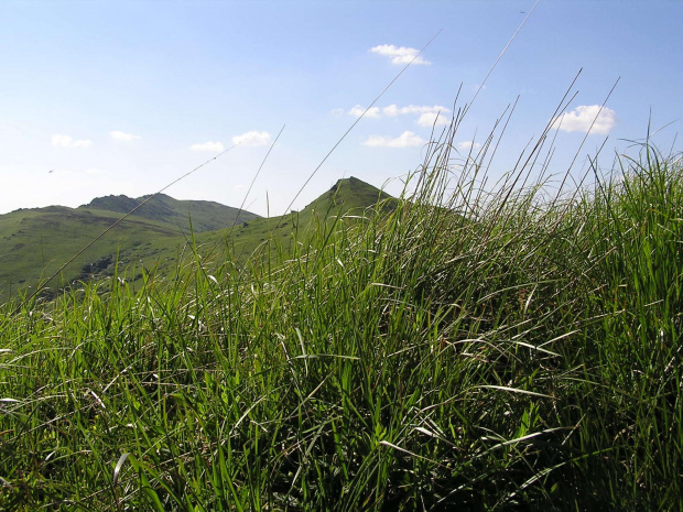 Bieszczady - czerwiec 2007 #Bieszczady #góry