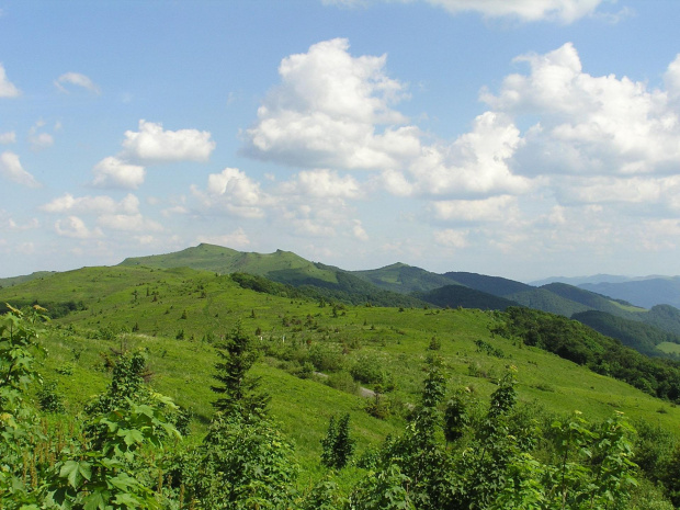 Bieszczady - czerwiec 2007 #Bieszczady #góry