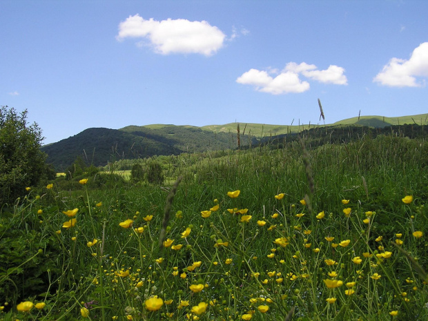 Bieszczady - czerwiec 2007 #Bieszczady #góry