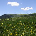 Bieszczady - czerwiec 2007 #Bieszczady #góry