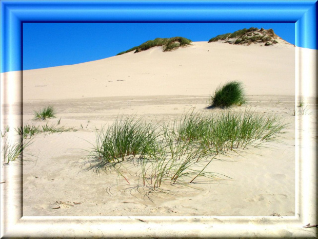 Łeba-wydmu
Park Słowiński #wydmy #ParkSłowiński #plaża #piasek