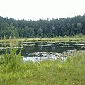 wolna powierzchnia zarastającego jeziora, rezerwat Galwica