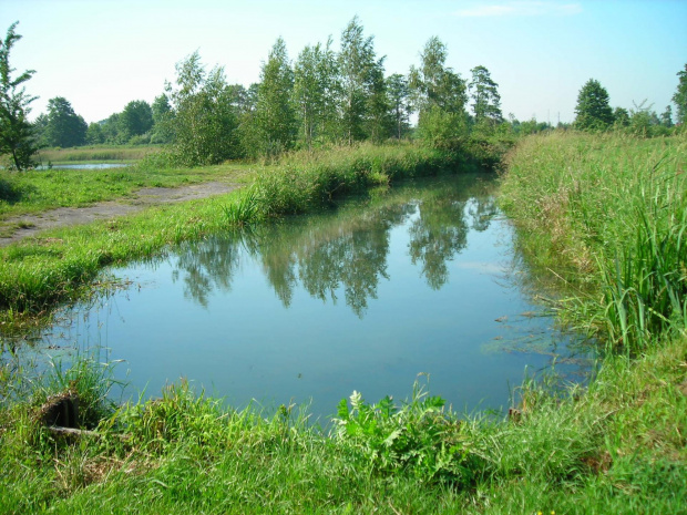 tak wygladała okolica naszego noclegu - cudeńko .Tylko my i natura