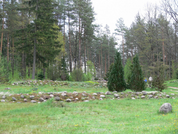 Drzewa, krzewy, kwiaty, cisza i spokój. Miejsce warte odwiedzenia. #KopnaGóra #Arboretum