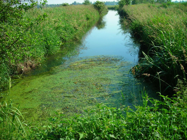 tak wygladała okolica naszego noclegu - cudeńko .Tylko my i natura