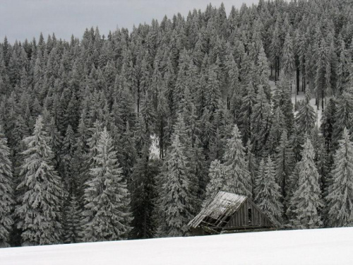 Wczesna zima w Gorcach #góry #gorce